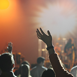 ADDETTO AI SERVIZI DI CONTROLLO DELLE ATTIVITA' DI INTRATTENIMENTO E DI SPETTACOLO IN LUOGHI APERTI AL PUBBLICO O IN PUBBLICI ESERCIZI GROSSETO